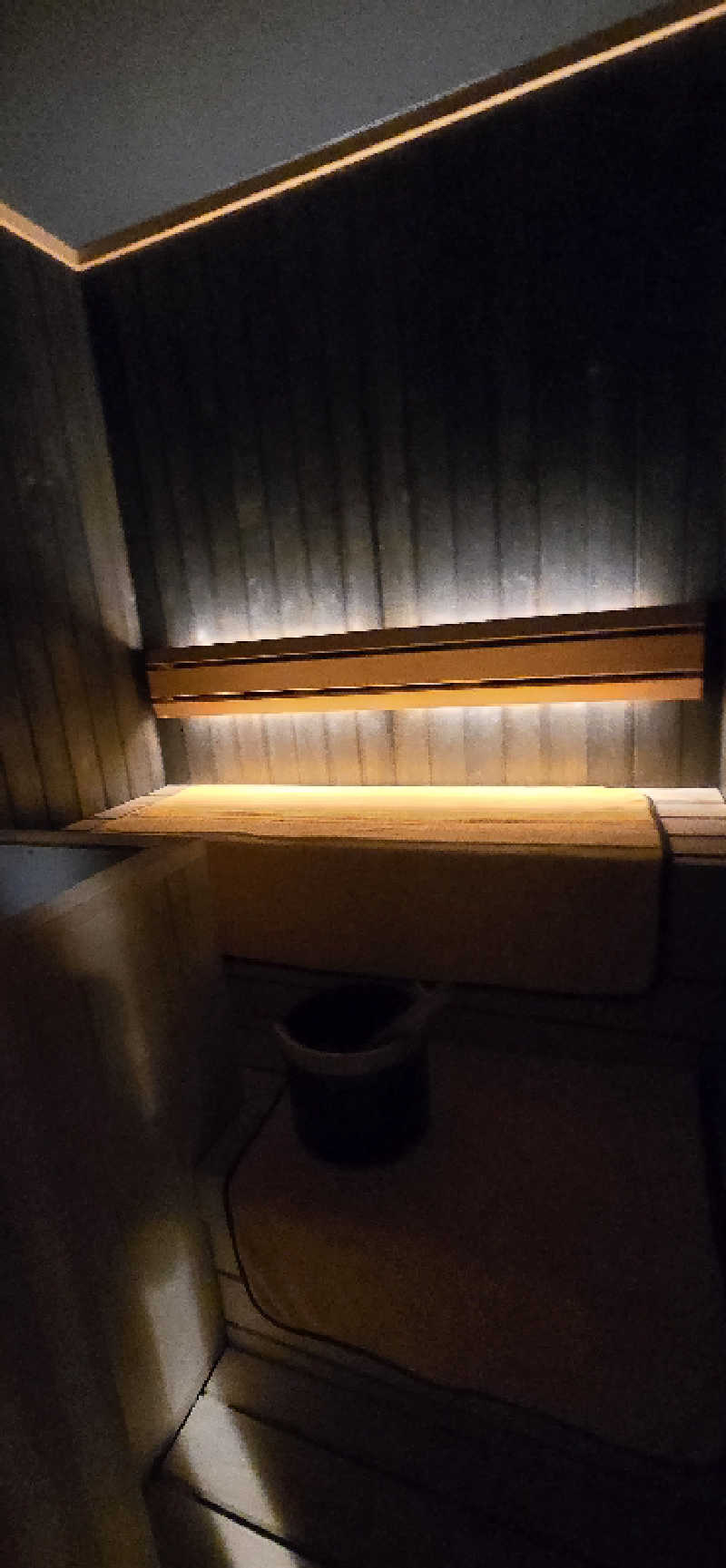 とびたくんさんの味と湯の宿 ニューとみよしのサ活写真