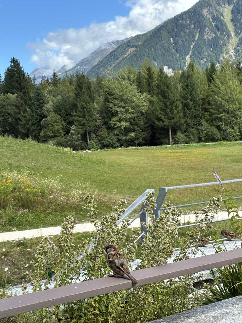 ありくろさんのQC Terme Chamonixのサ活写真