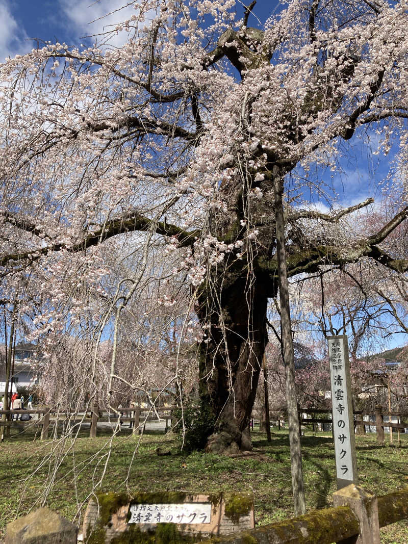 ビール大好きさんさんの秩父湯元 武甲温泉のサ活写真