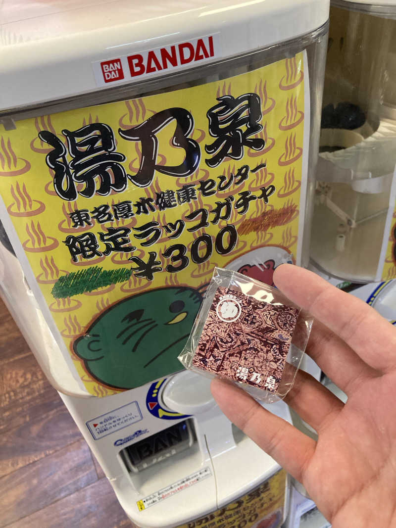 ビール大好きさんさんの湯乃泉 東名厚木健康センターのサ活写真