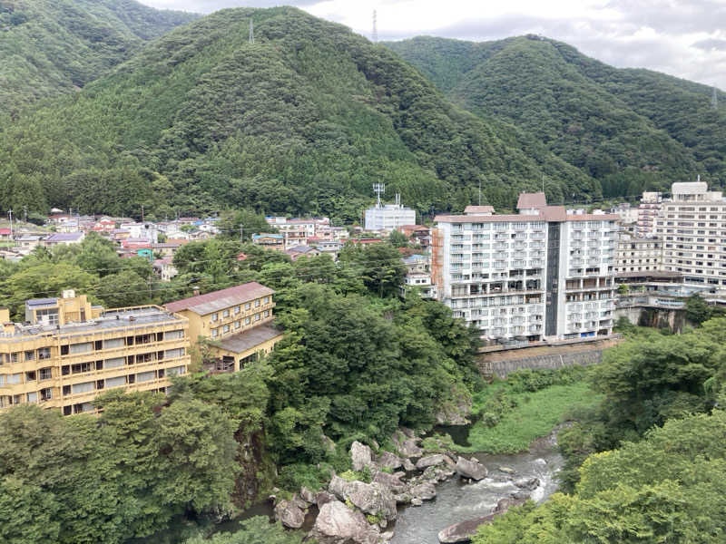 ビール大好きさんさんの大江戸温泉物語 ホテル鬼怒川御苑のサ活写真