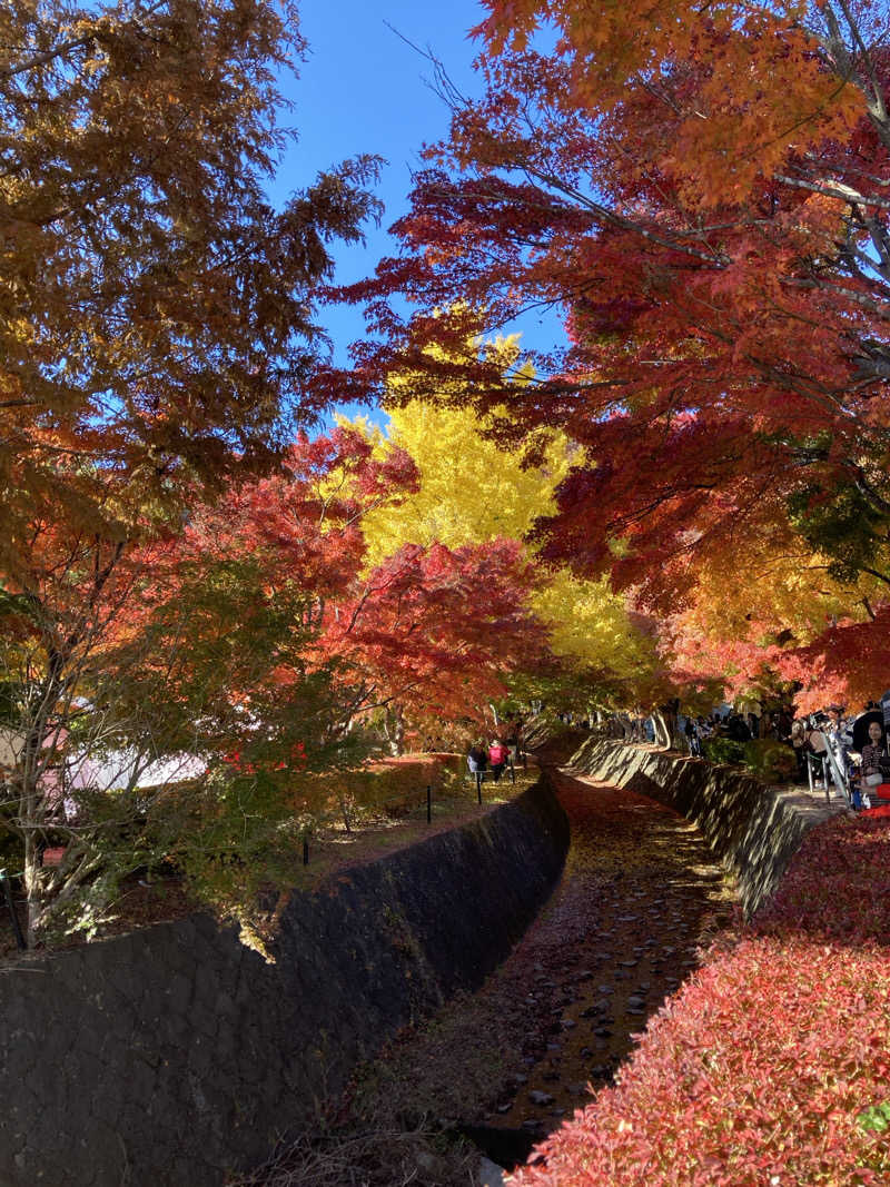 ビール大好きさんさんのスパリゾート オアシス御殿場のサ活写真