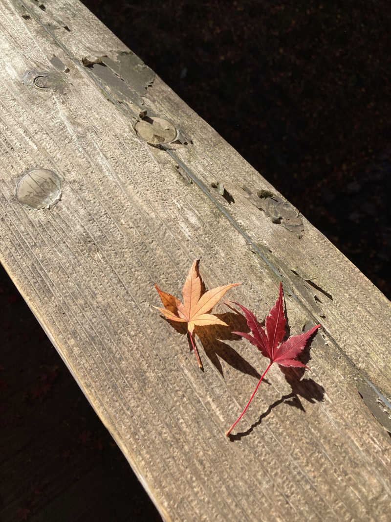 ビール大好きさんさんのスパリゾート オアシス御殿場のサ活写真