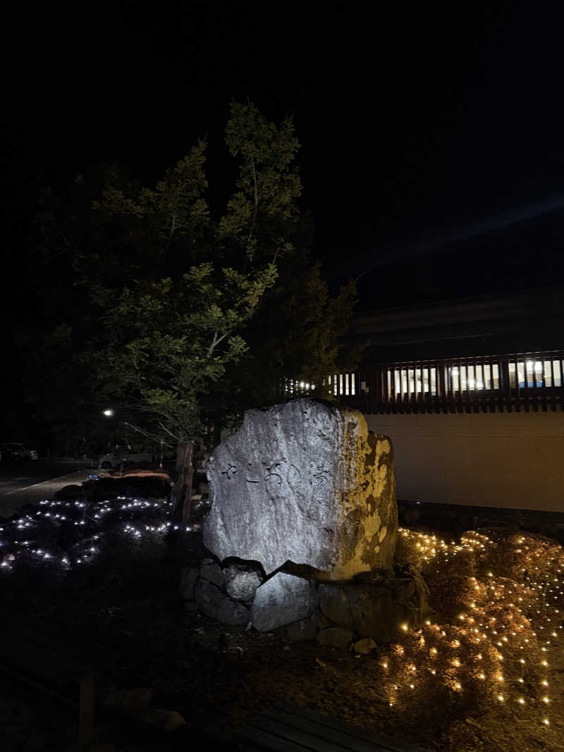 みちこーんさんの日光和の代温泉 やしおの湯のサ活写真