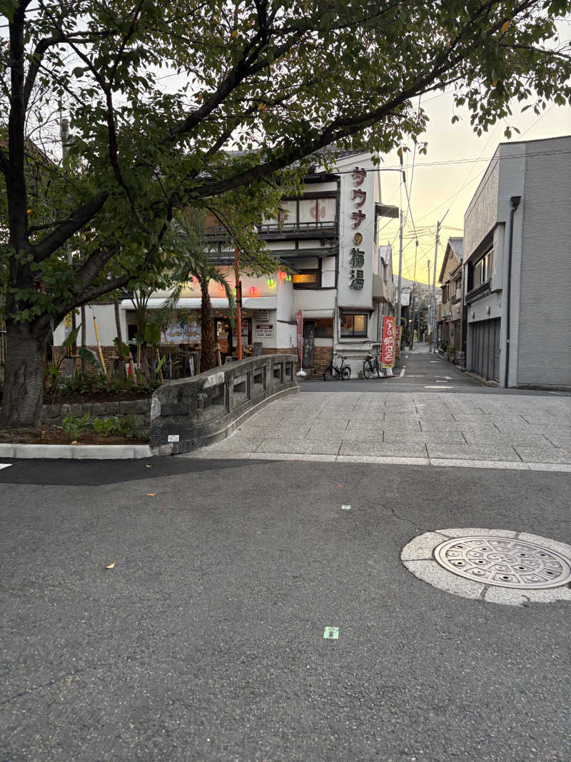 tonpuk🌿さんのサウナの梅湯のサ活写真