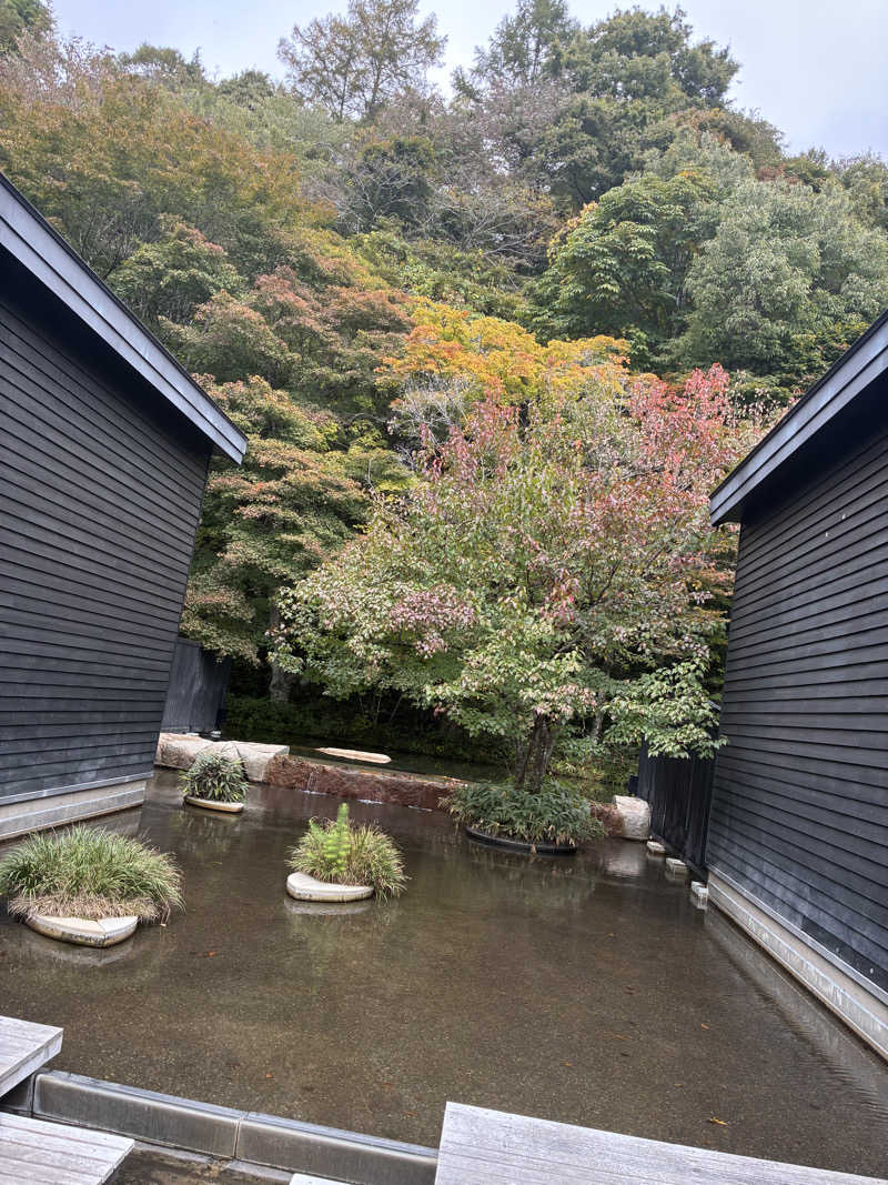 炭酸が好きSAUNAUNDERGROUNさんの星野温泉 トンボの湯のサ活写真