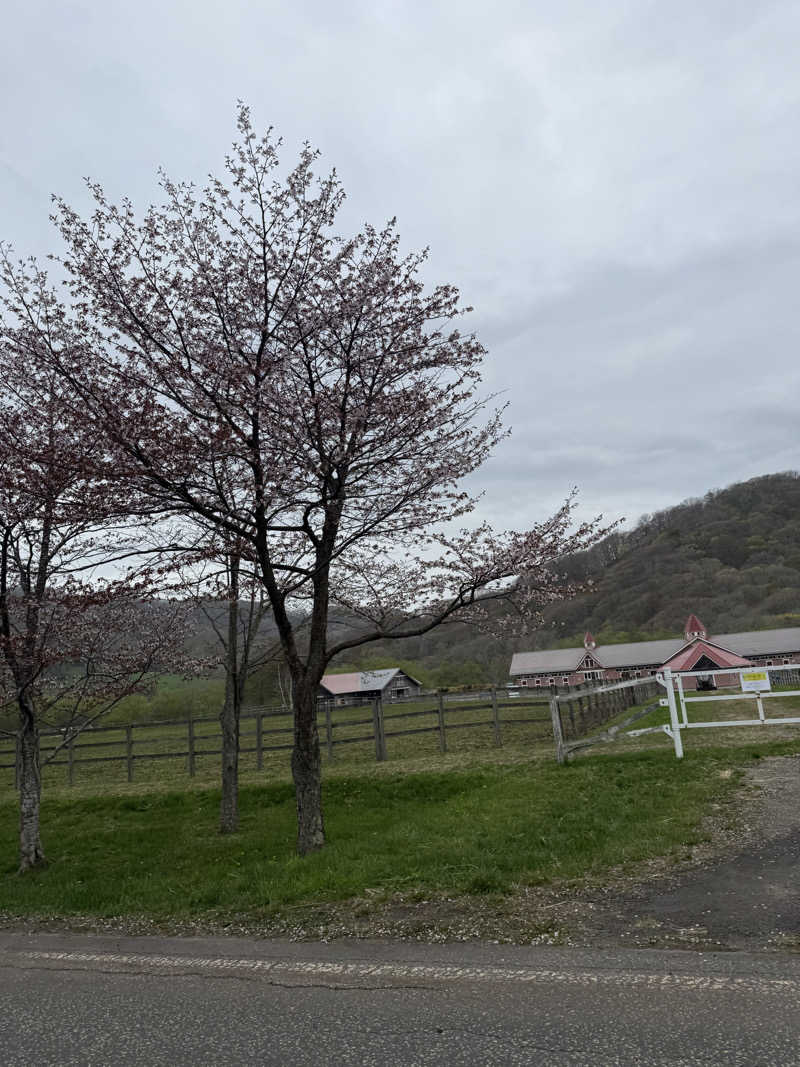 マッソーけいご💪さんのうらかわ優駿ビレッジアエルのサ活写真