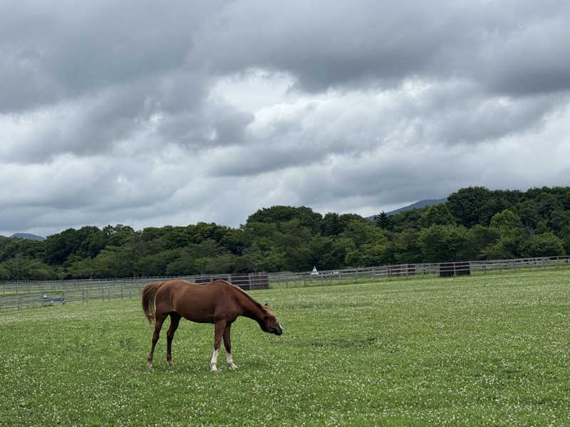 マッソーけいご💪さんのBay Lounge Coffeeのサ活写真