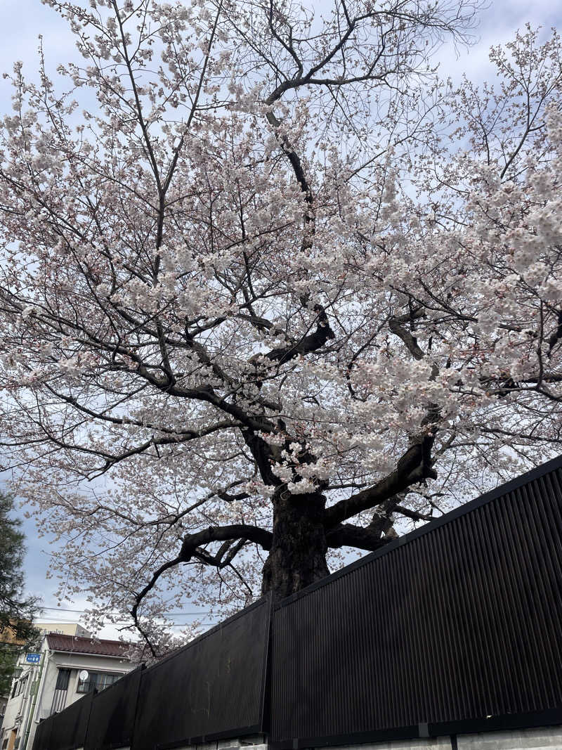 kzk001さんの花ももの湯のサ活写真