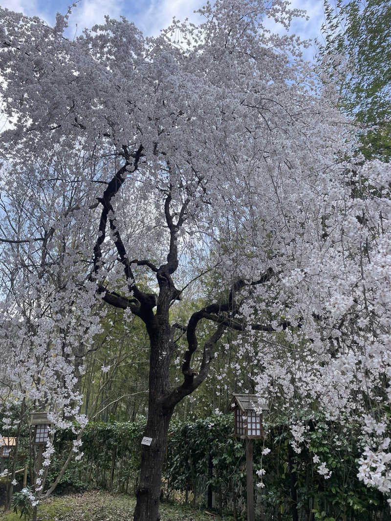 kzk001さんの摺上亭大鳥のサ活写真