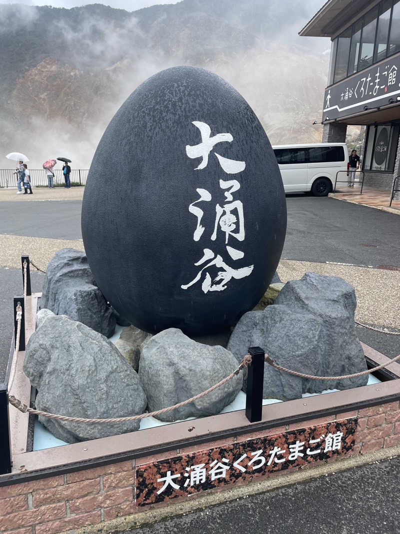 kzk001さんの箱根湯本温泉 天成園のサ活写真