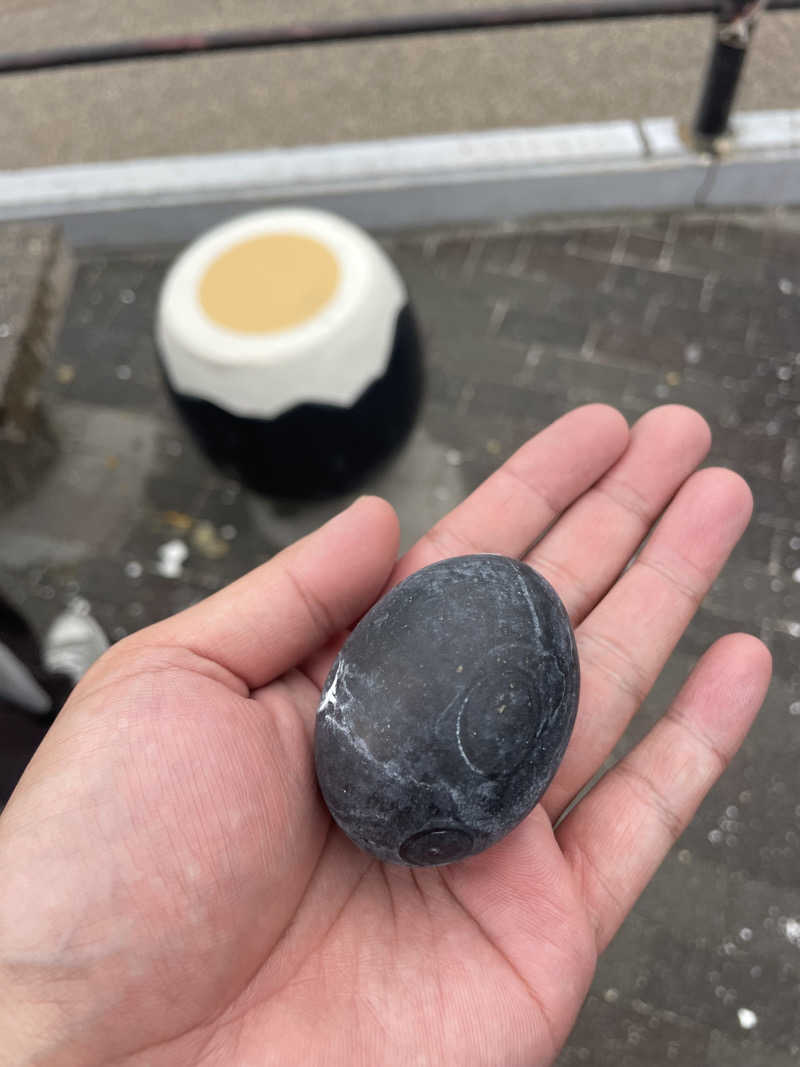 kzk001さんの箱根湯本温泉 天成園のサ活写真