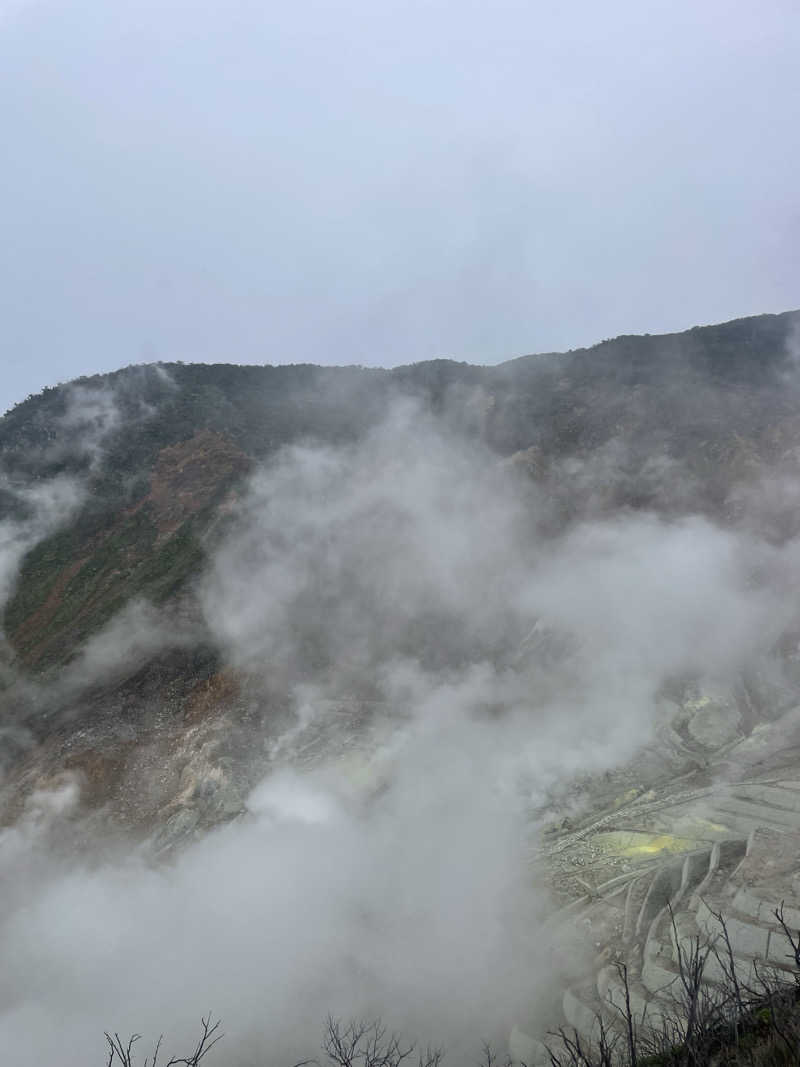 kzk001さんの箱根湯本温泉 天成園のサ活写真