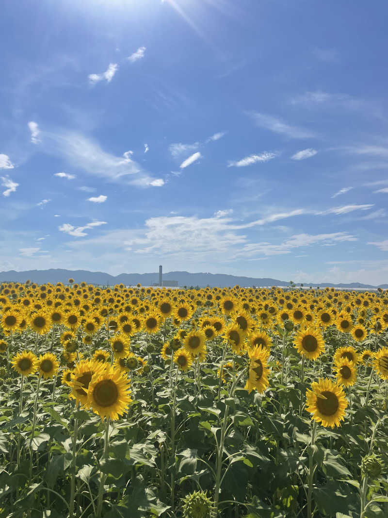 kzk001さんの北投の湯 いわき健康センターのサ活写真