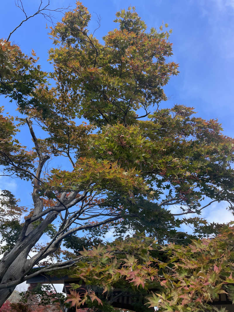 kzk001さんの摺上亭大鳥のサ活写真