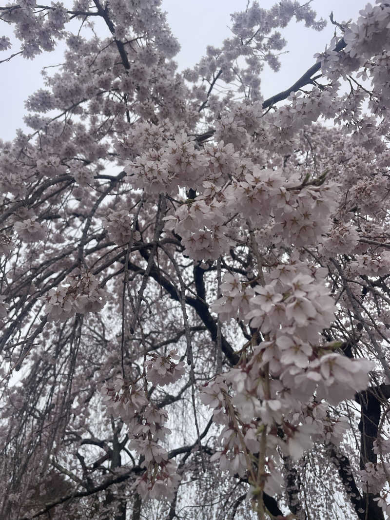 kzk001さんのそうま温泉天宝の湯のサ活写真