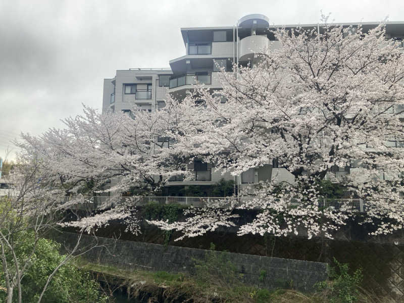オサさんの天然温泉 満天の湯のサ活写真