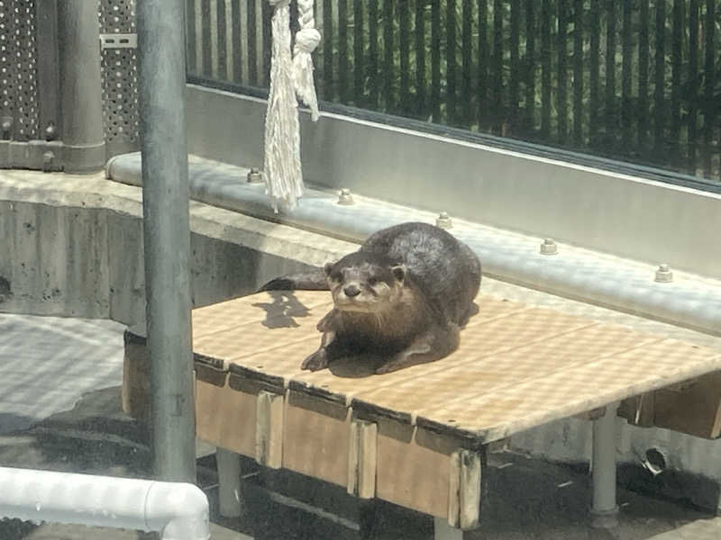 オサさんのよみうりランド眺望温泉 花景の湯のサ活写真