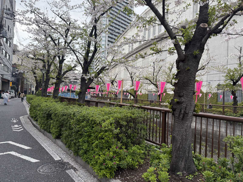 たかちゃんさんの文化浴泉のサ活写真