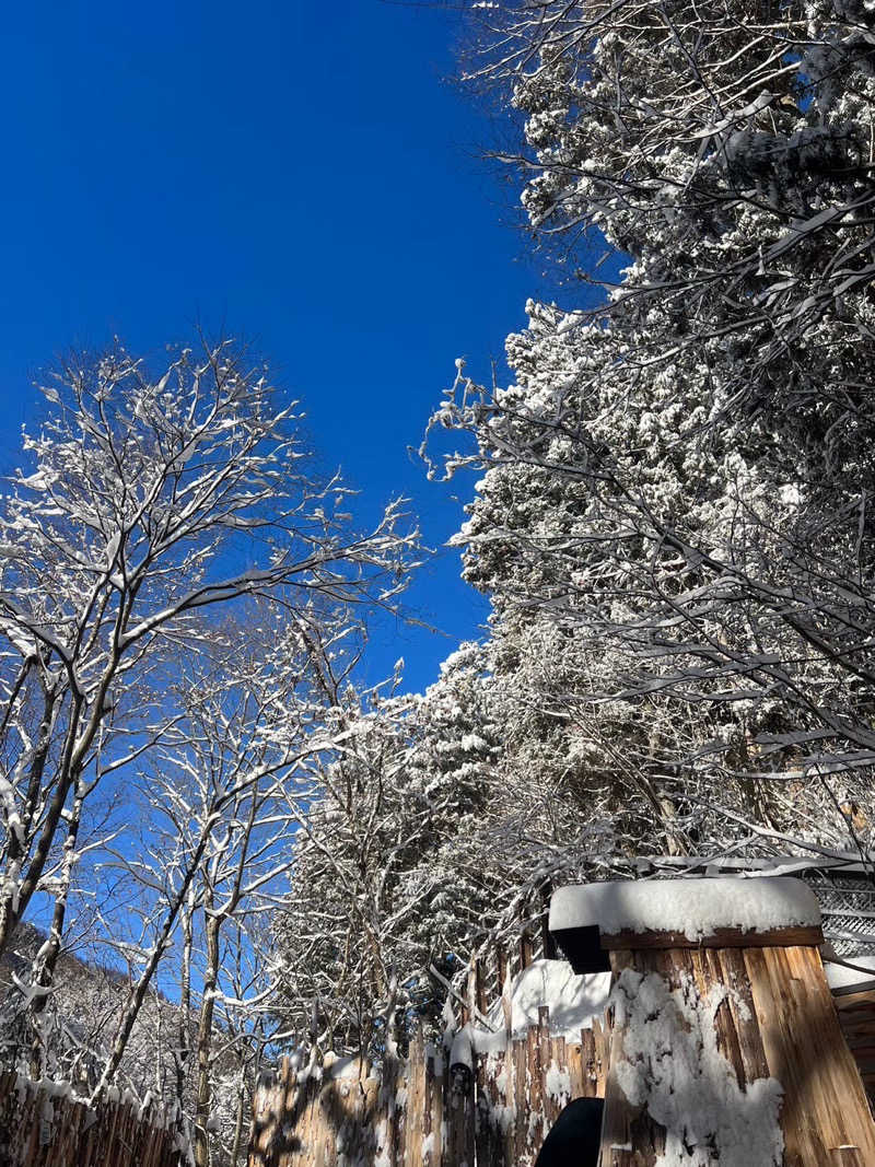 erikoさんの梅の屋リゾート 松川館のサ活写真