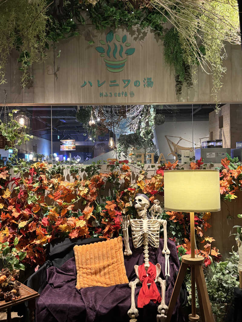 tamani saunaさんのおふろcafé ハレニワの湯のサ活写真