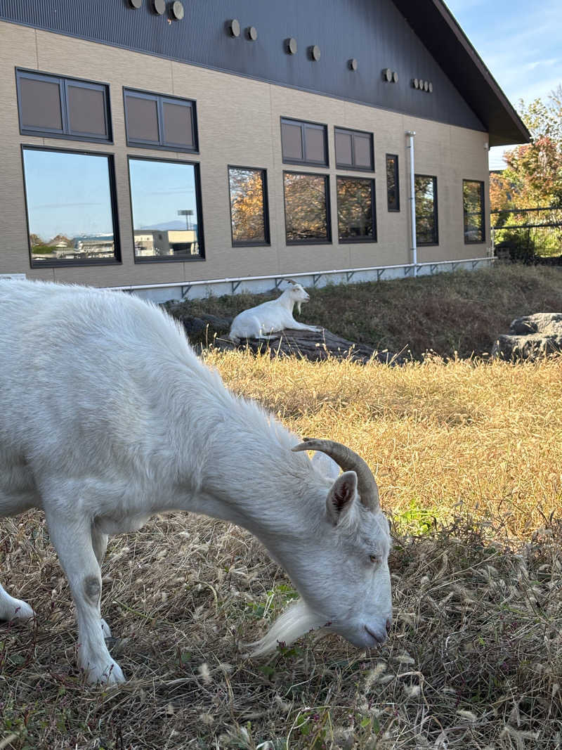 tamani saunaさんの花湯スパリゾートのサ活写真