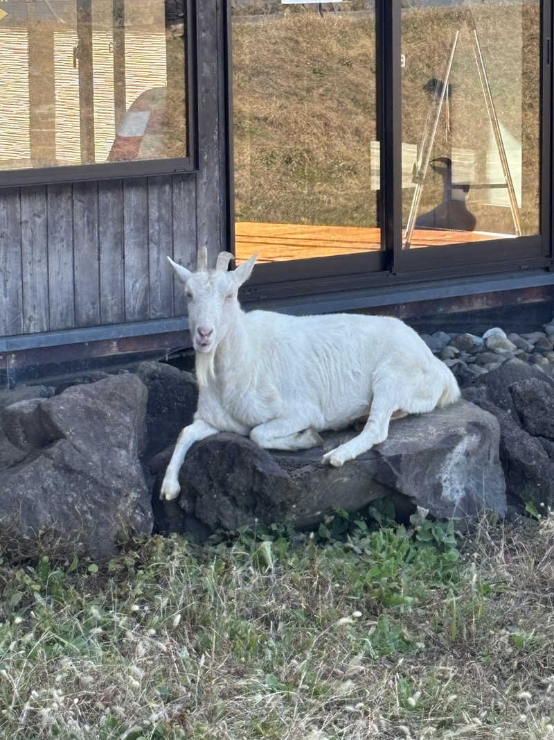 tamani saunaさんの花湯スパリゾートのサ活写真