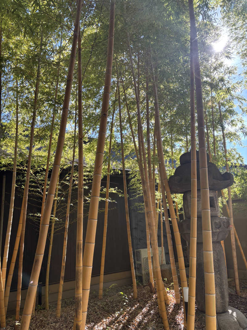 tamani saunaさんの花湯スパリゾートのサ活写真