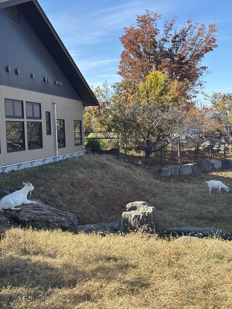 tamani saunaさんの花湯スパリゾートのサ活写真