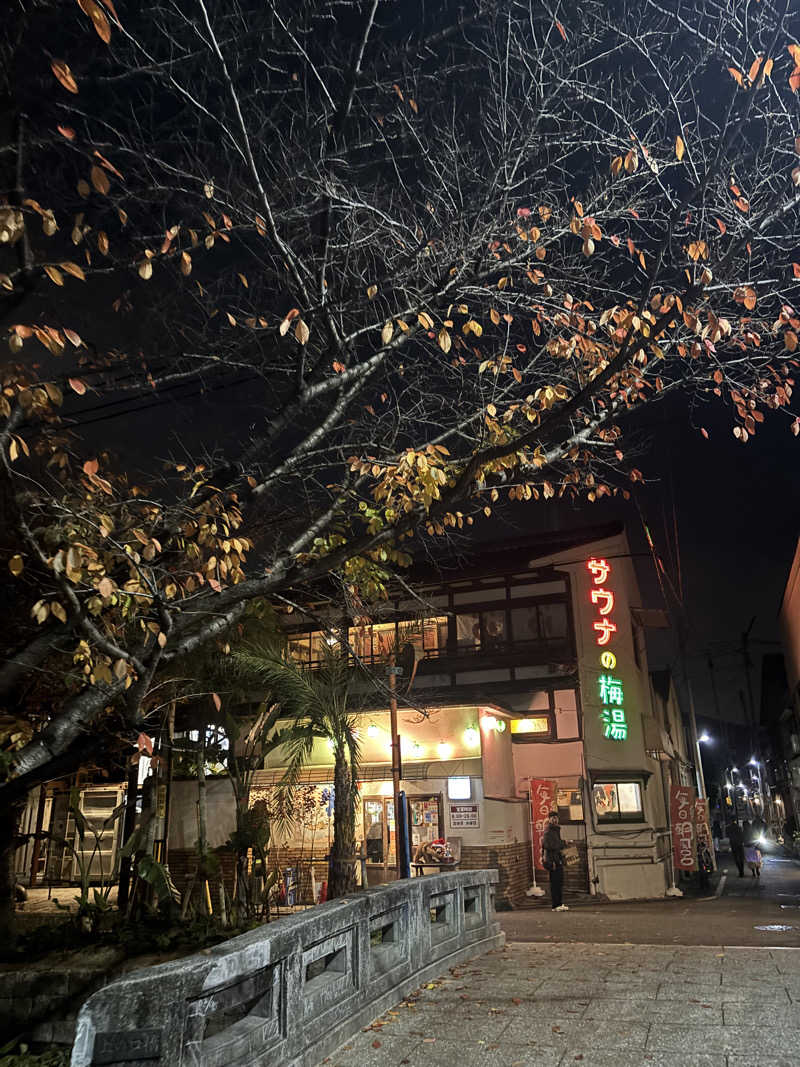 tamani saunaさんのサウナの梅湯のサ活写真