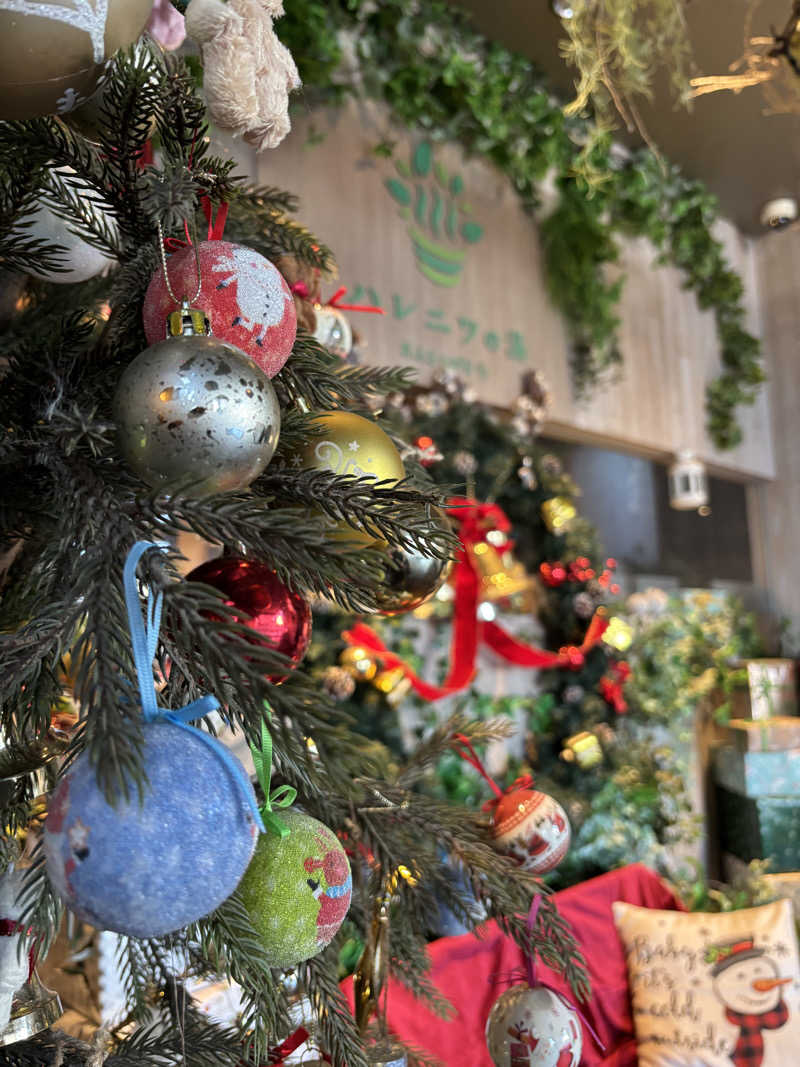 tamani saunaさんのおふろcafé ハレニワの湯のサ活写真