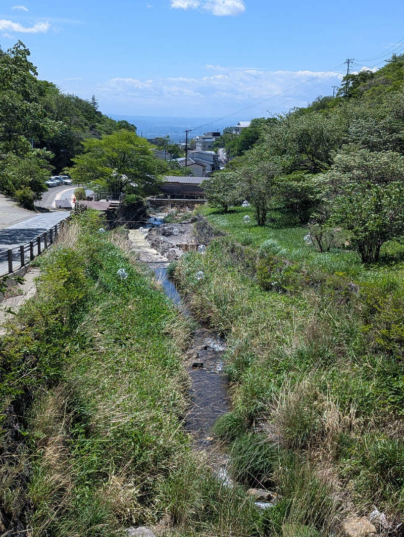 ごとうのおっさんさんの塩原あかつきの湯のサ活写真