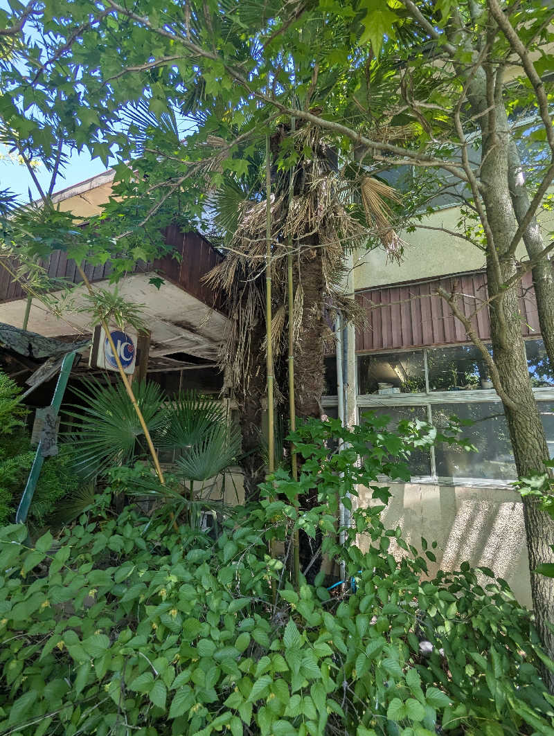 ごとうのおっさんさんの天然温泉 湯楽部太田店のサ活写真