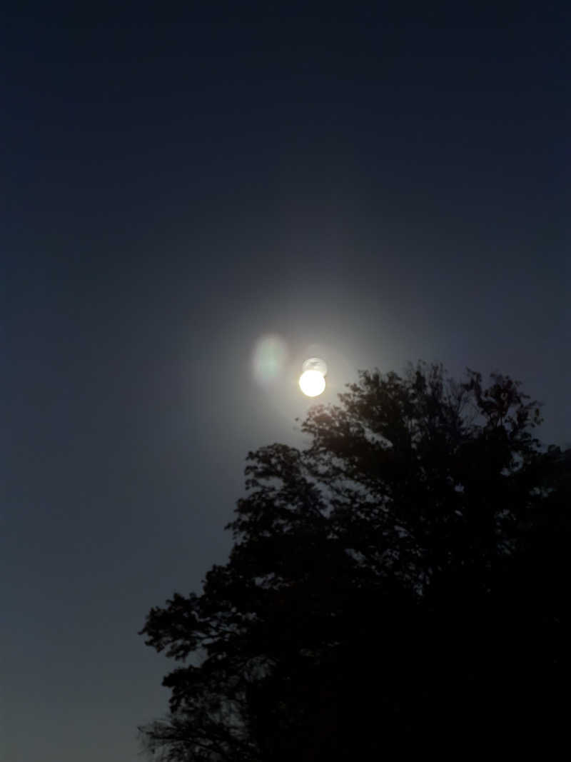 そびぃさんの毎日サウナ 八王子店のサ活写真