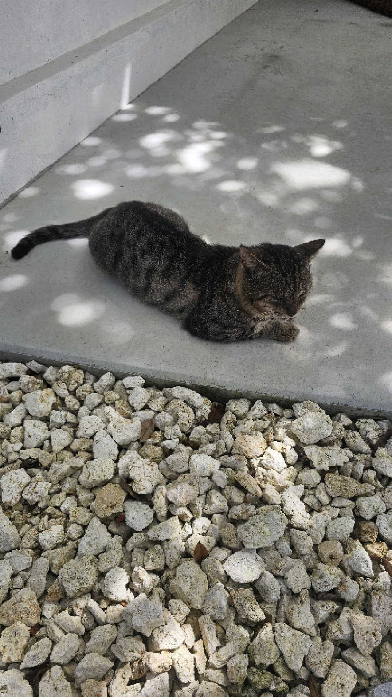 8worksさんのサ郷kakeRuのサ活写真