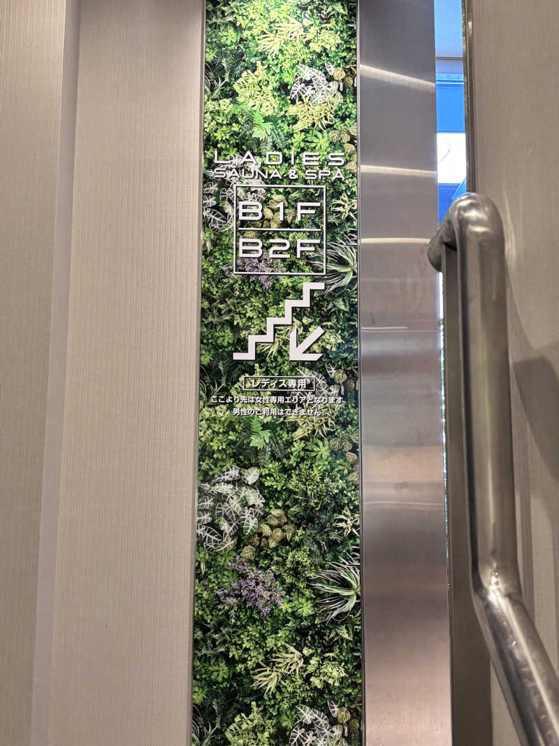 あきさんの大東洋レディススパのサ活写真