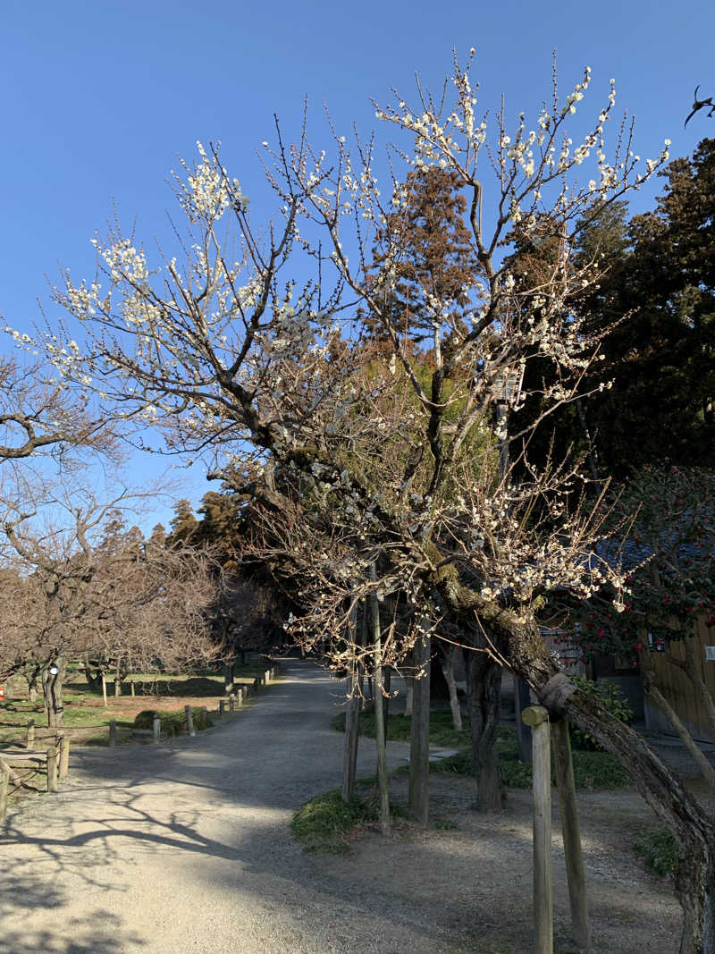 yuyanさんの潮騒の湯のサ活写真