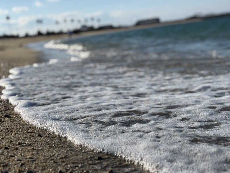 まるまる🐶さんの天然温泉 延羽の湯 鶴橋店のサ活写真