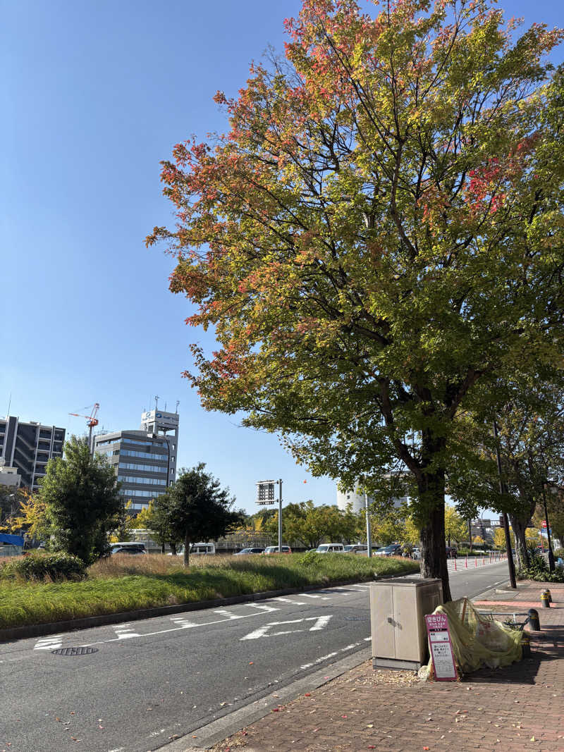 まるまる🐶さんのSteamers Beach & Sauna りんくうビーチ常滑のサ活写真