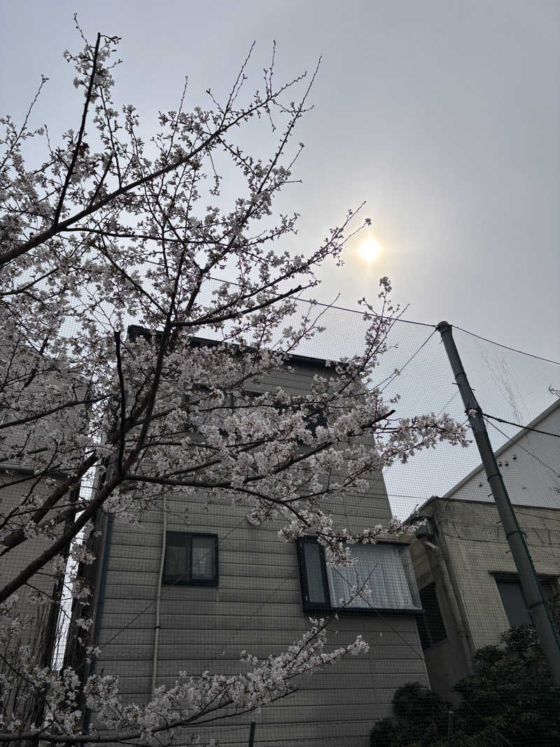 まるまる🐶さんの虹の湯 西大和店のサ活写真