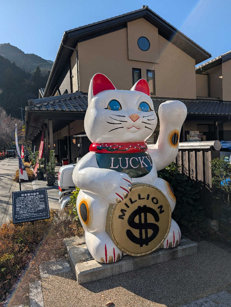 ドナウ川の漣さんの幸乃湯のサ活写真