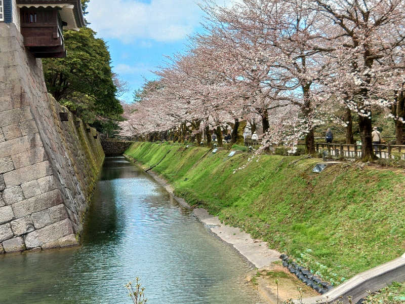 こーじさんの大江戸温泉物語Premium よしのや依緑園のサ活写真