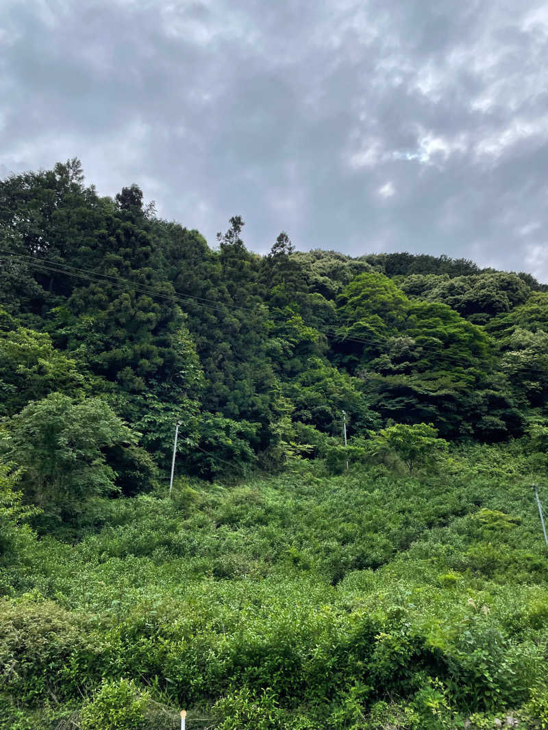 おぎそさんの個室サウナ此処野 静岡のサ活写真