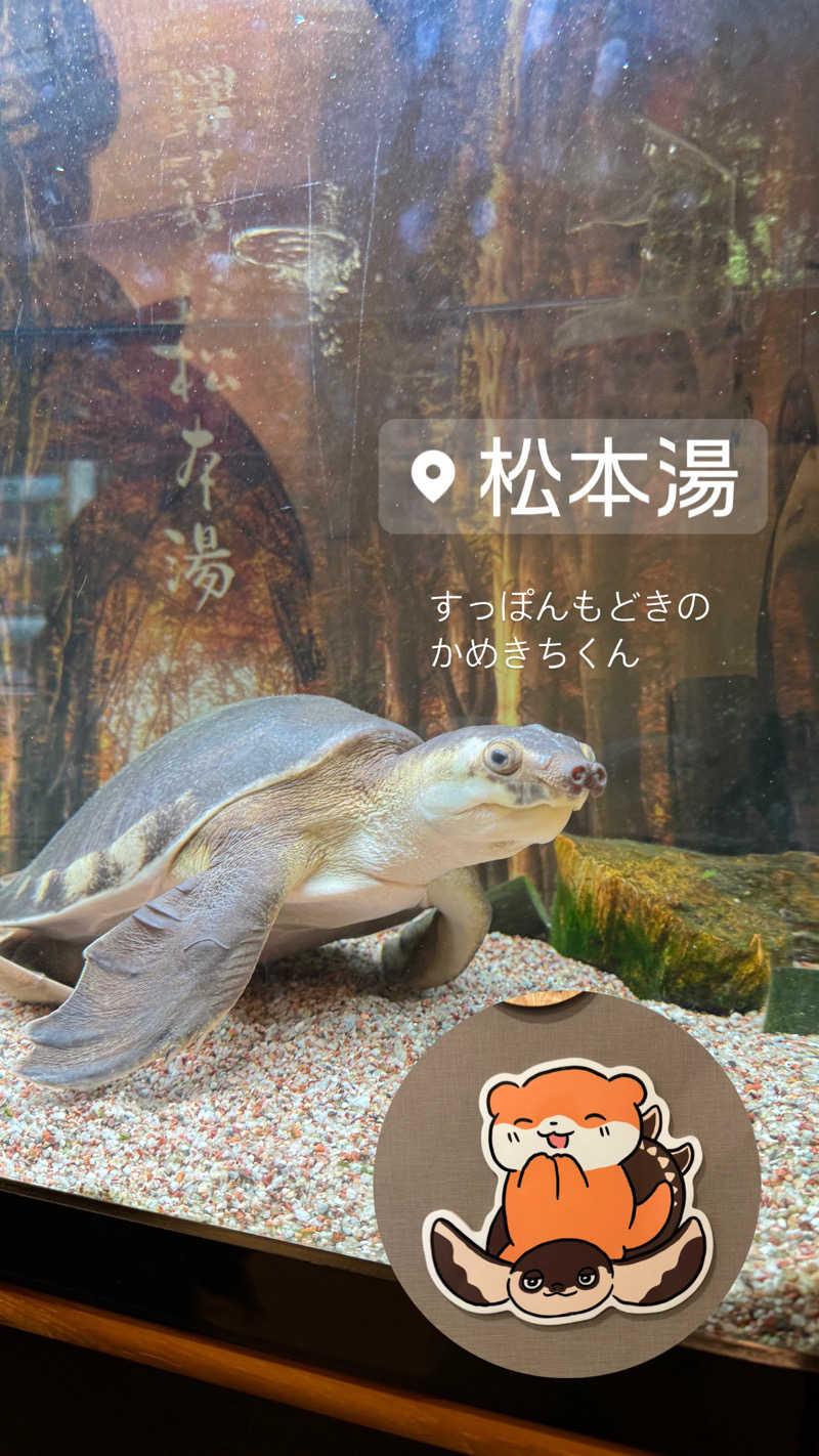 takesun アマミムシオさんの松本湯のサ活写真