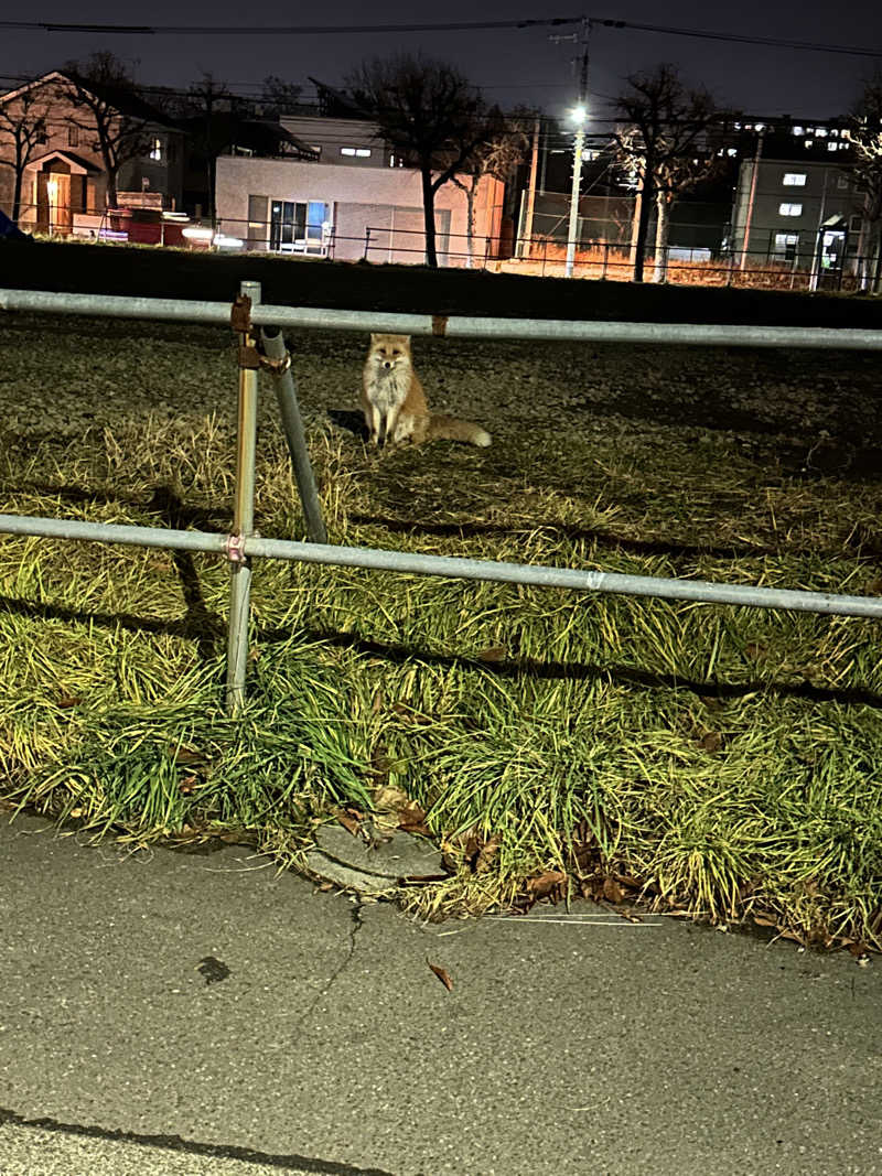 あやさんの定山渓 鹿の湯のサ活写真