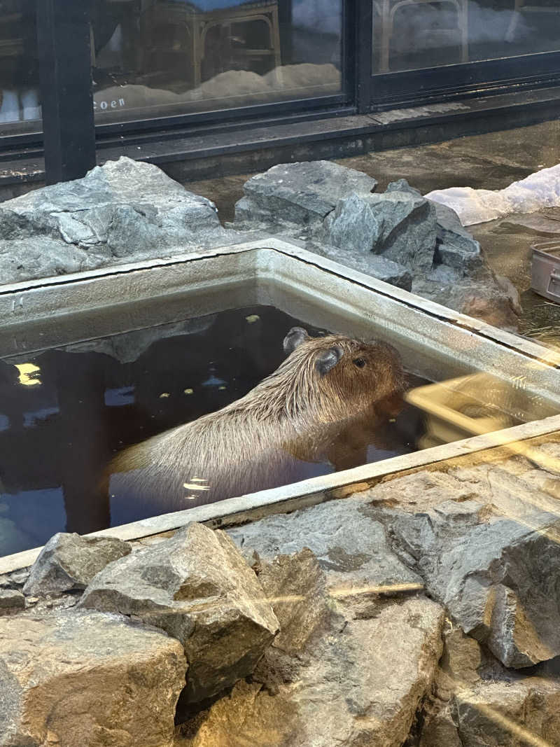あやさんの石狩天然温泉 番屋の湯のサ活写真