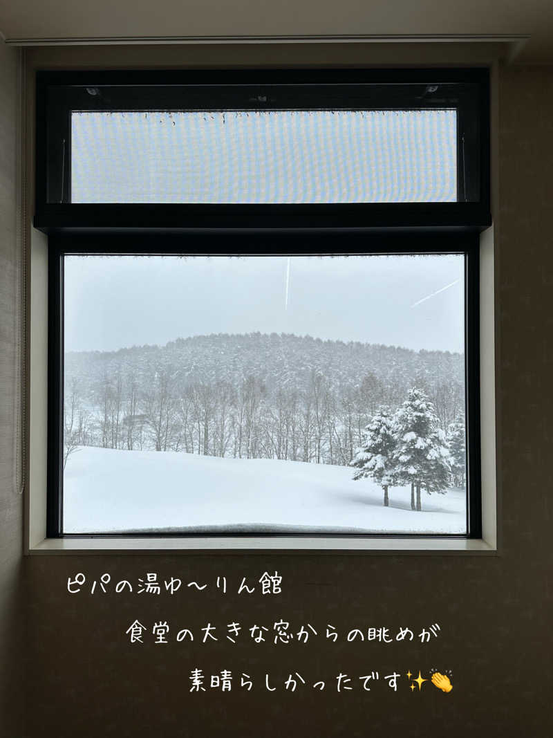 あやさんの青の洞窟温泉 ピパの湯 ゆ〜りん館のサ活写真