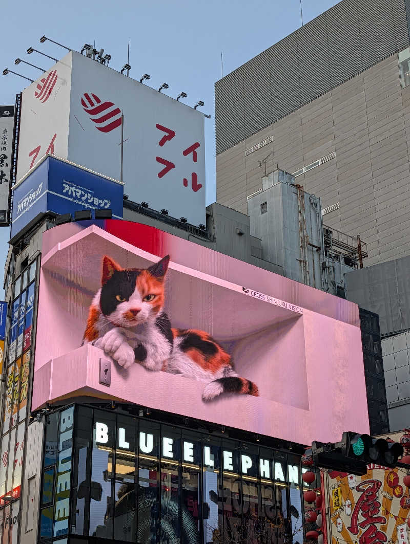 ドナウ川の漣さんの新宿天然温泉 テルマー湯のサ活写真