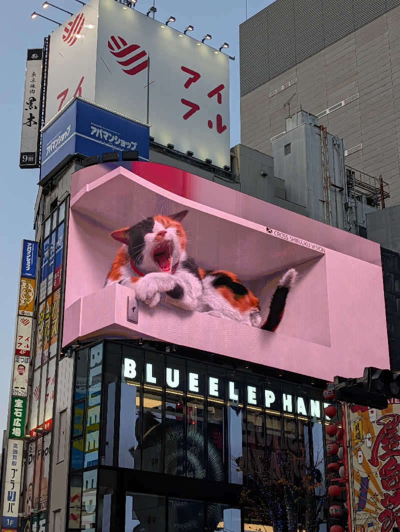 ドナウ川の漣さんの新宿天然温泉 テルマー湯のサ活写真
