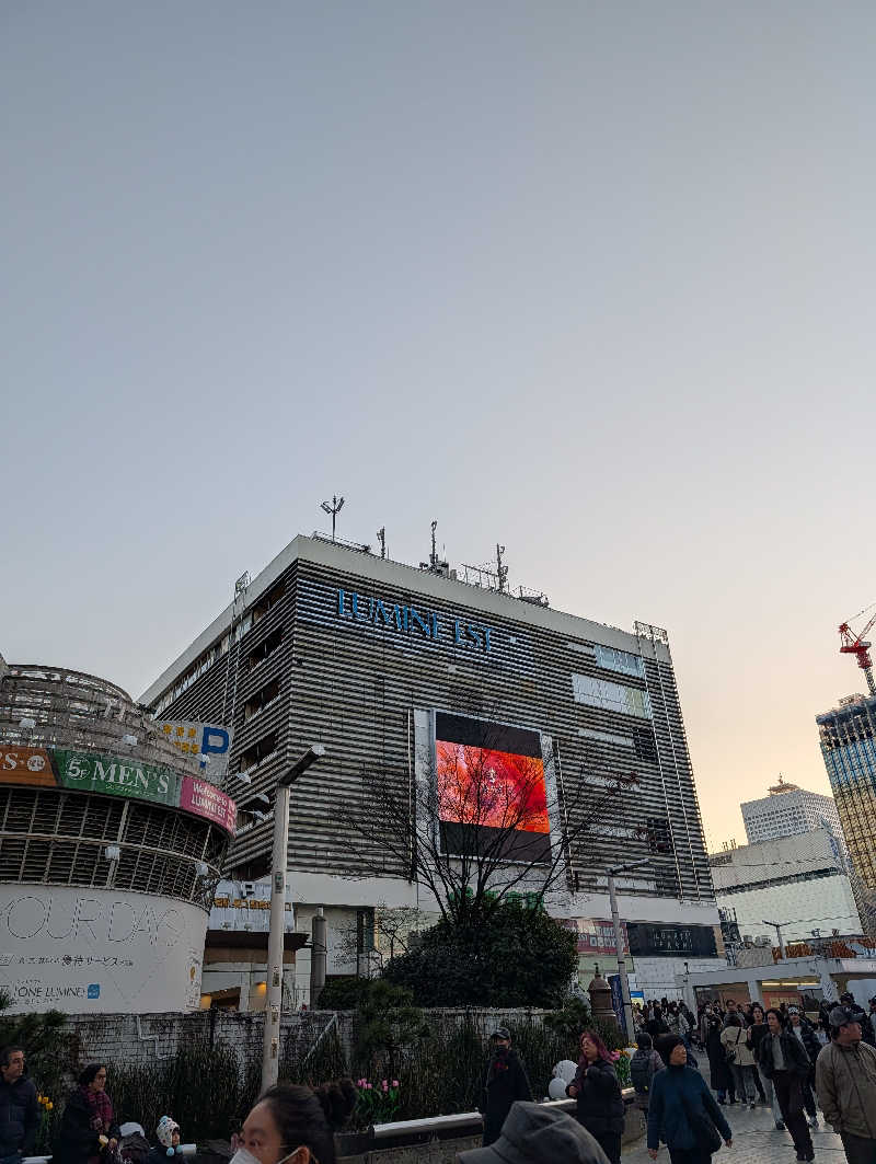 ドナウ川の漣さんの新宿天然温泉 テルマー湯のサ活写真